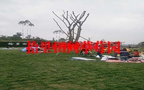 大學城采摘蘑菇视频入口